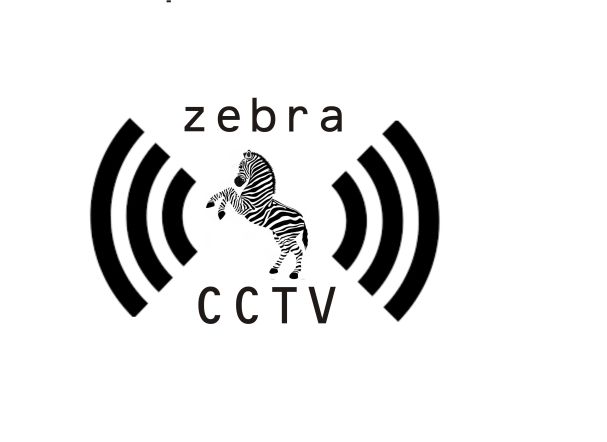 ZebraCCTV